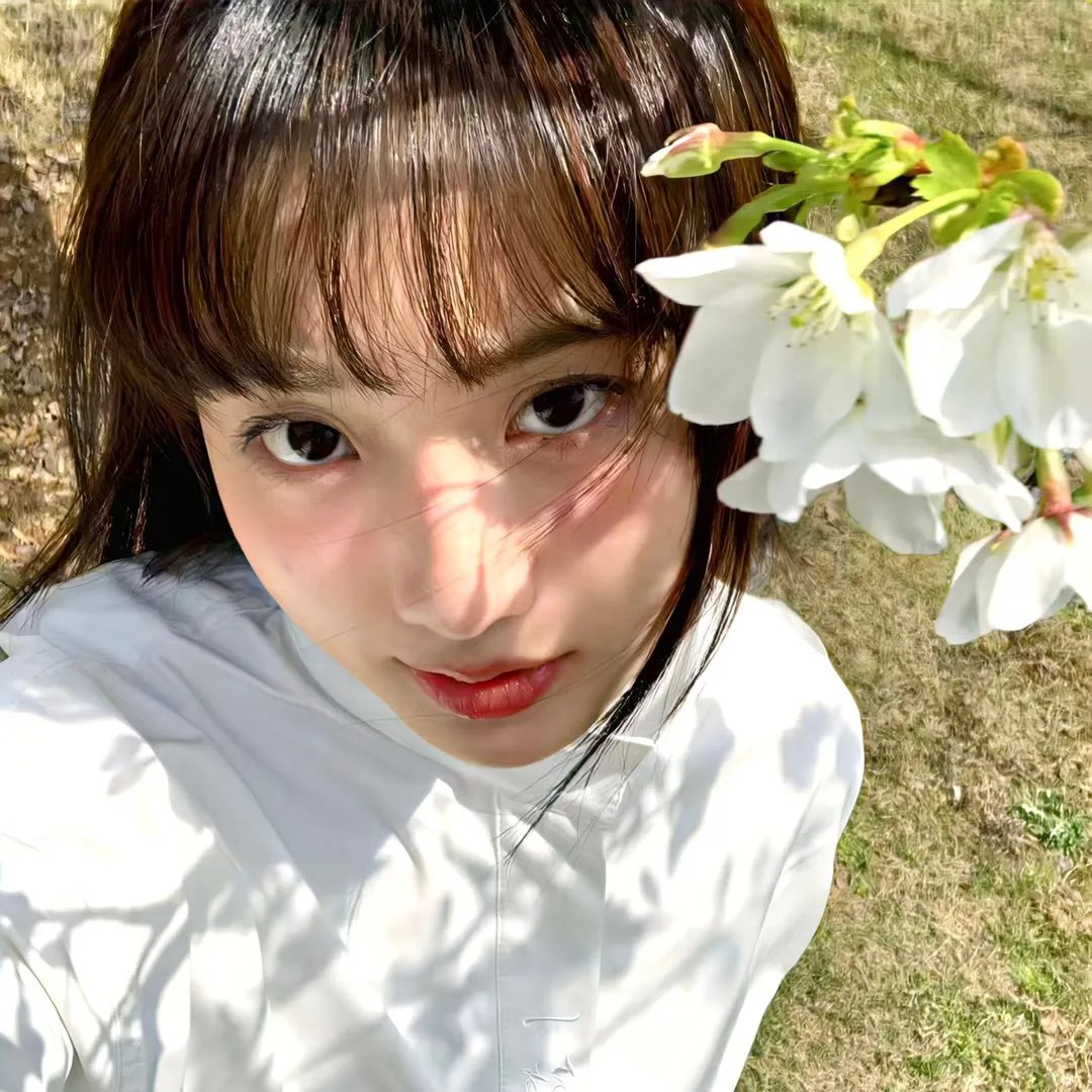 钢琴之森